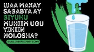 Read more about the article Waa maxay sababta ay biyuhu muhiim ugu yihiin Nolosha