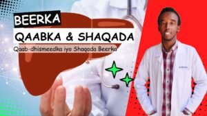 Read more about the article Beerka: Qaabka (Anatomy) Iyo Shaqada (Physiology)